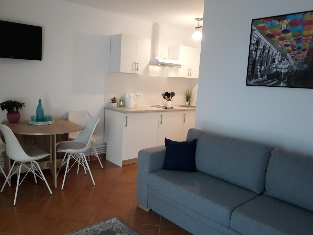 Cassa Blue Daire Temeşvar Dış mekan fotoğraf
